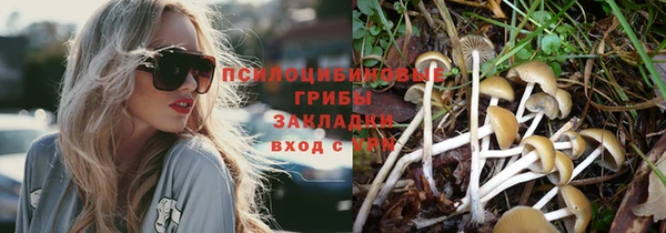 гашик Балабаново
