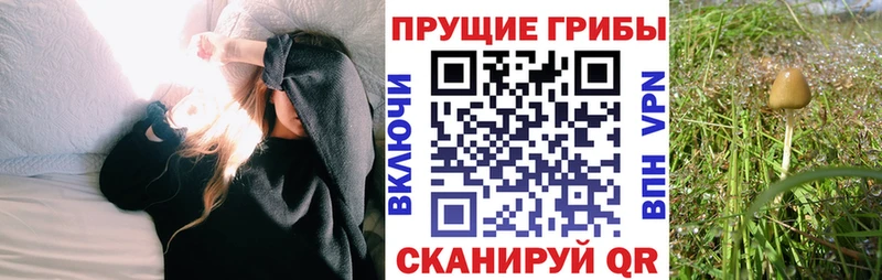 Псилоцибиновые грибы ЛСД  как найти   Плавск 
